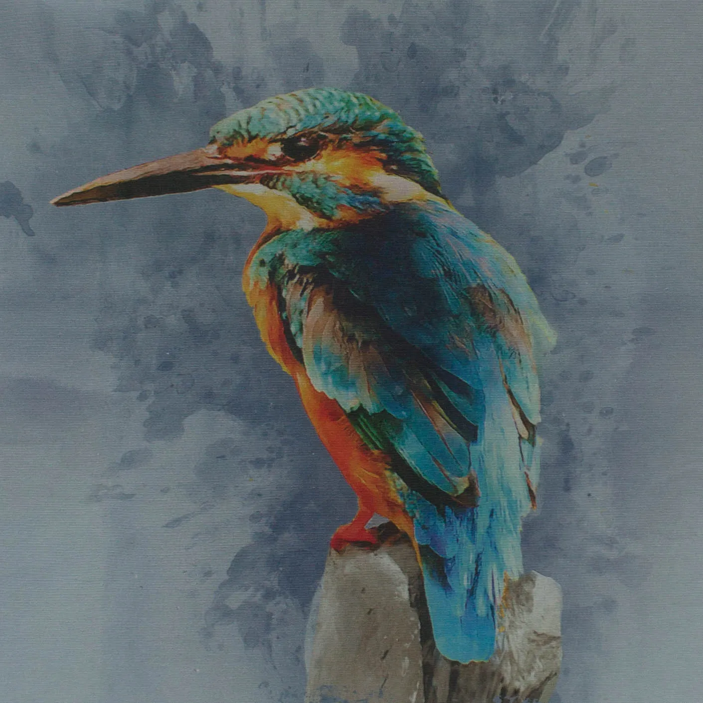 Paneel ijsvogel kussen